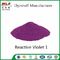 Professional Clothes Dyeing Permanent Vat brillant violet 2R C I Vat Violet 1